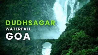 How Do We Enter Dudhsagar Waterfall by Bike? (FULL DETAILS)