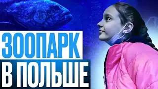 мы в зоопарке в Польше/влог Zlata Energy
