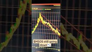 $MSOS still going down📉
