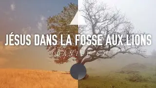 Jésus dans la fosse aux lions (Daniel 6)