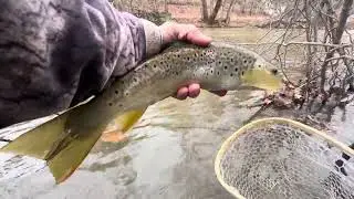 DIRTY WATER BETTER FISHING! Creek Fishing For Trout With Jerk Bait