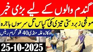 Today Wheat price in punjab//گندم کا ریٹ 2025/munji makki till sarso/Galla mandi rate today