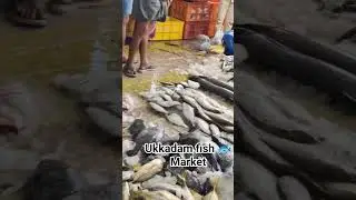 Sunday Fish Market 🐟 Ukkadam @ Coimbatore #fish #fishmarket #fishmarketvlog #fishing