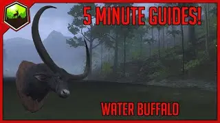 5 Minute Guides | Water Buffalo | theHunter Classic