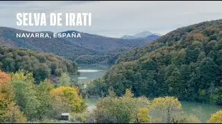 Selva de Irati. Navarra, Espa&ntilde;a