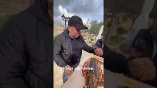 7 марта 2024 г.