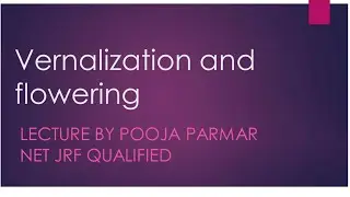 Vernalization in plants!plant growth and development!cold treatment!