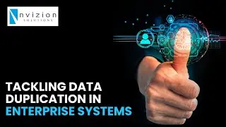 Tackling Data Duplication in Enterprise Systems