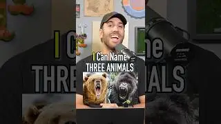 How Many Animals Can You Name In 30 Seconds?! #shorts #name #animal #bear #dog #game