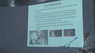 Dermart 2019 Federico Bardazzi