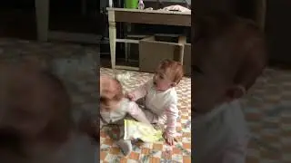 İkizlerin Kavgası😊
