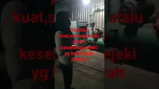 pejuang rupiah #dj #remix #cover