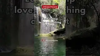 Each turnip loves something different   #ChineseProverb #shorts #subscribe