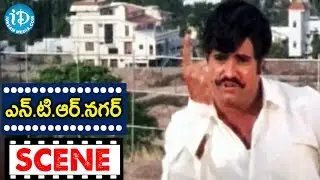 NTR Nagar Movie Scenes - Raj Kumar Introduction || Tanikella Bharani || Brahmanandam || Babji