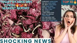 16/01/2026 Byadgi APMC 🌶️Dry Red Chilli Market Report 🔥 Arrival 28000 Bags price all Quality Study 🔥