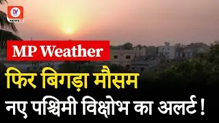 Weather Forecast Update: MP में अगले 4 दिन मौसम रहेगा साफ | Madhya Pradesh | Western Disturbance