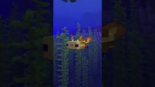 Minecraft 26.1 Snapshot 5 w 30 sekund