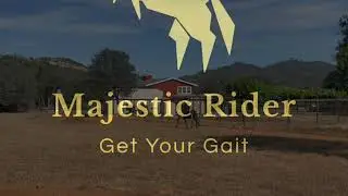 Gaited Horse Training - Fearful Horse-Spotted Saddle Horse - Tennyson