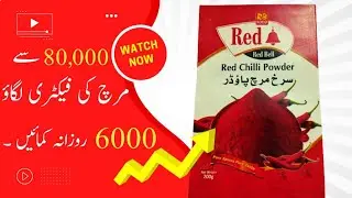 Red chilli business | how to start red chilli business | Rizwan factory wala | Business talks lahore