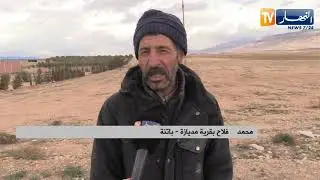 باتنة: بعد تساقط الأمطار والثلوج .. عودة الأمل في نجاح الموسم الفلاحي