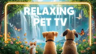 🔴Relaxing Nature TV for Cats and Dogs Waterfalls Butterflies Calming Music Cat Dog TV Relaxing Music