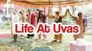 15th Uvas Convocation | Uvas Lahore University | Life at Uvas | University Of Vaterinary and Animal