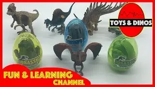 For children learn dinosaur toys surprise egg. Wow a flying Dinosaur trapped in an egg!