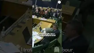 Wild clip shows number of Home Affairs committee MPs who are members of Labour Friends of Israel