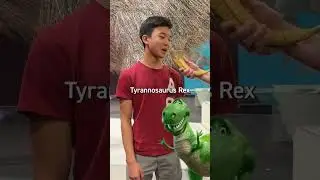 dino facts you didn&rsquo;t know 🤓☝️