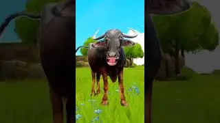 chara Le aayo re 😃😀#baffalo #comedy #cow #funny #animals #cartoon #trending #shorts cartoon