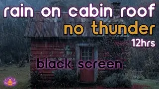 [Black Screen] Rain on Cabin Roof No Thunder | Rain Ambience | Rain Sounds for Sleeping