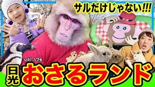 猫たちに囲まれて幸せ🐈サル以外にもたくさん触れ合えて、子供も大人も楽しめる‼️【ママさん似顔絵師Bon vol.274】