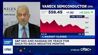 Semiconductor names are down a lot, but not oversold, says tech investor Dan Niles