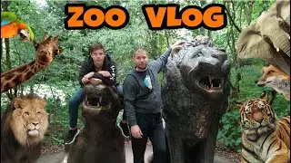 Gremo v živalski vrt / VLOG  (SLO)