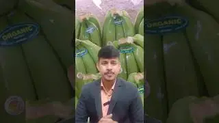 Top 5 Countries to Export Banana from INDIA..