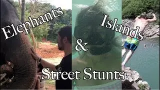 Elephants, Islands, & Street Stunts - Rilla Hops - Parkour | Freerunning