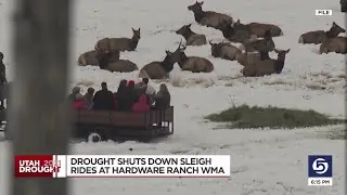 Hardware Ranch sleigh rides canceled for second straight year