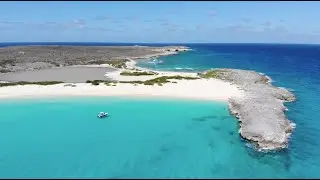Tarpon, Shark fishing & Tuna madness - Contender - Offshore fishing - P&ecirc;che Saint Martin 2019