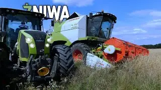 🔥Żniwa 2020. 2 Claas'y na polu🔥 Bizon z040 daje w palnik 🔥🔥