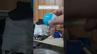Canareen Tin 5130 - An Easter Egg (Video Distribution) PARTEON REQUESTED