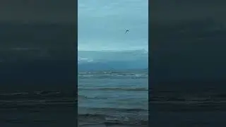 Caspian Sea Calm waves and seaguls 🌊 | Relaxing Waves | Shot on iPhone 15Pro #sea #waves #seagulls