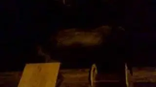 Jetty Jumping 5