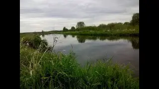 Река Нёман  Куда делся лещ и язь?