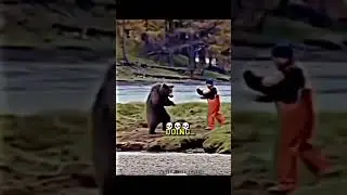 Bear vs Men #bear#men#fight