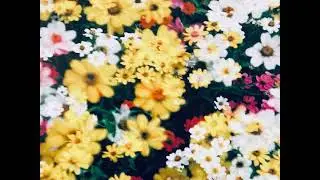 MOONRISE - A CHILD IS BORN（2009-08-23）