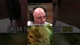 Jaguars Tripping on Ayahuasca: Joe Rogan Unveils Amazon's Psychedelic Secrets! 🐆🌿