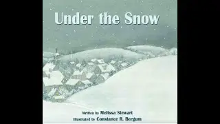 Under the Snow by Melissa Stewart and Constance R Bergum