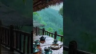 Get Away from the Noise: Discover Calm in the Wild 🥰  #travel #nature #rain #monsoon #relax #calm