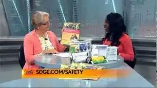 Power Outage Preparation Tips Hosted by Elaine Swann