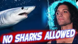 Danny.. Really Doesn't Like Sharks | Game Grumps Compilation